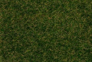 Włókna okrywowe dzikiej trawy, ciemnozielone, 4 mm, 80 g, Faller 170233