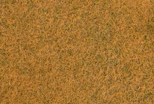 Włókna okrywowe dzikiej trawy, zwiędłe, 4 mm, 80 g, Faller 170235