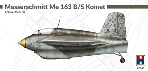 61.jpg
