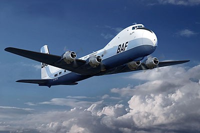 305.jpg