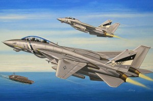 F-14d Super Tomcat, Hobby Boss 80278