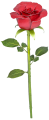 57 1.png