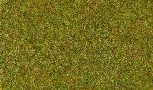 30941.jpg