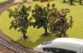 55740 1.jpg