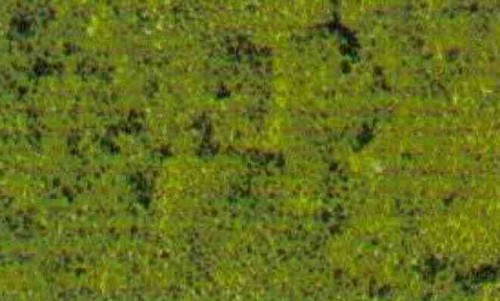 3388.jpg
