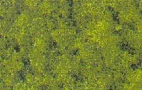 3386.jpg