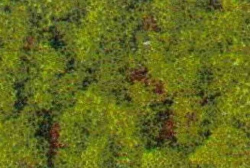 3390.jpg