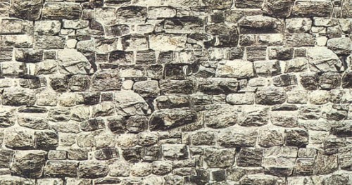 57510.jpg