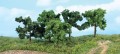 1935.jpg