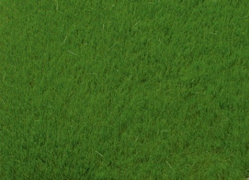 75615.jpg