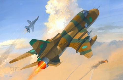 d-14.jpg