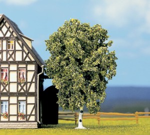 Drzewko - Brzoza, Noch 21640